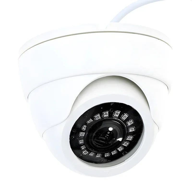 2MP AHD Panoramic Dome Camera - 165° Fisheye Lens, 1080P HD, Plug & Play, Indoor CCTV with Night Vision for Wide Area Monitoring