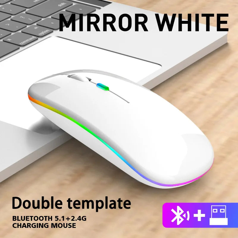 Mouse Wireless Bluetooth 5.1 & 2.4G Dual-Mode RGB Ergonomic – Silent, Reîncărcabil, 4 Butoane